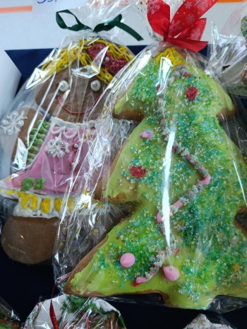 602911524_1421922133270668_2459382248187589752_n